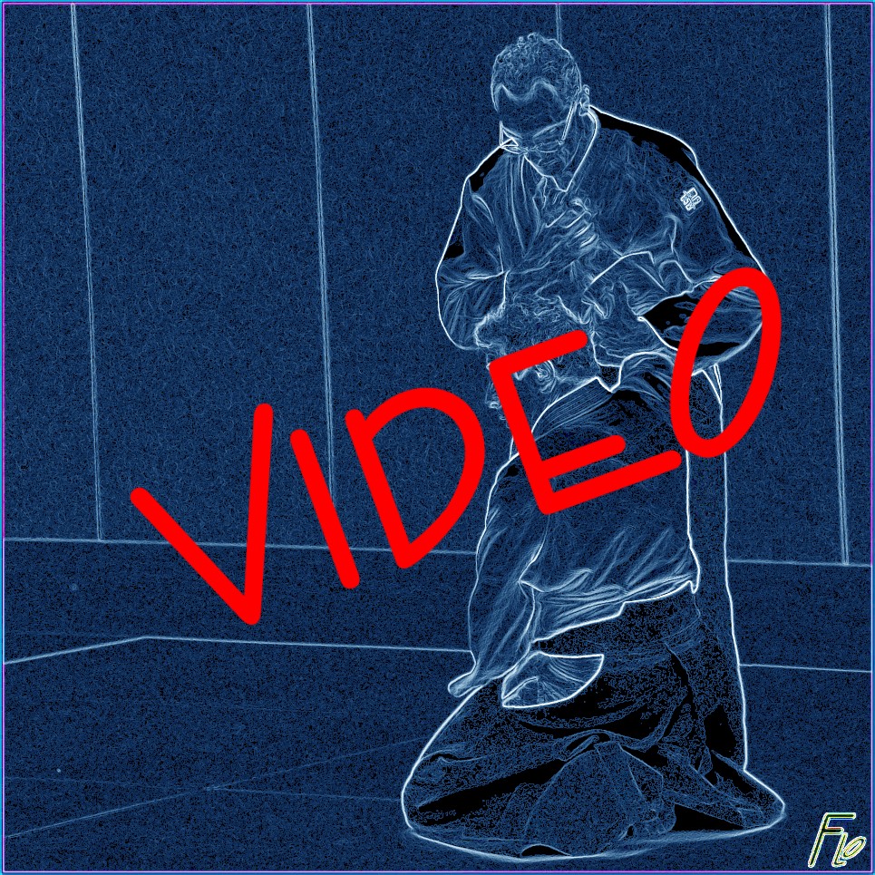 180527 Vignette pour video 2  NiDan Sébastien CLEMENT.mp4.jpg - 482,26 kB